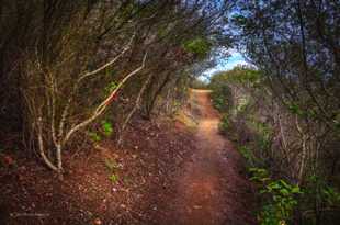 Secret Trail-8556.jpg Secret Trail-8556.jpg